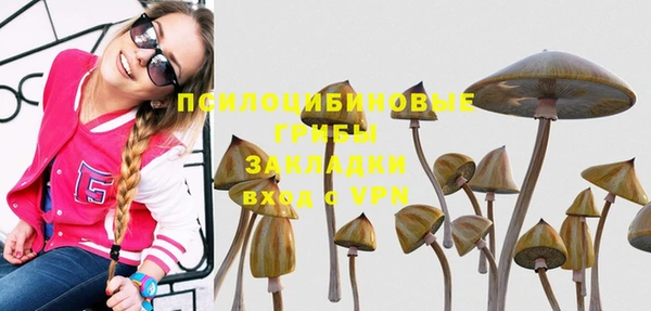 a pvp Абинск