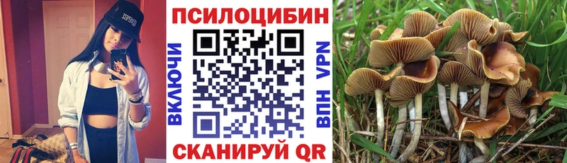 купить  сайты  Почеп  Галлюциногенные грибы мухоморы 